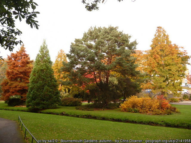 Bournemouth Gardens in the autumn